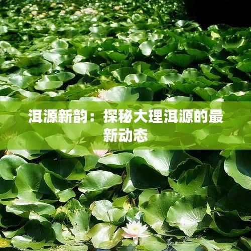 洱源新韵:探秘大理洱源的最新动态