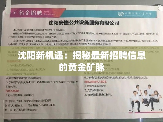 沈阳新机遇:揭秘最新招聘信息的黄金矿脉