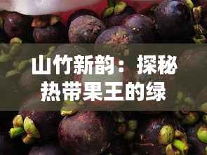 山竹新韵：探秘热带果王的绿色奇迹