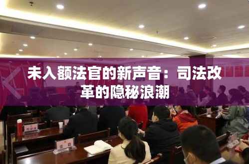 未入额法官的新声音：司法改革的隐秘浪潮