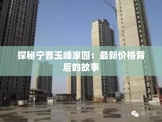 探秘宁晋玉峰家园：最新价格背后的故事