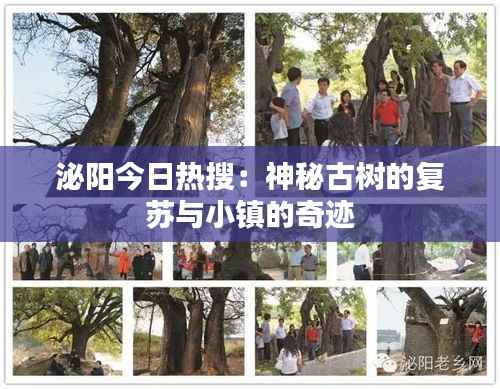 天荒地老 第6页