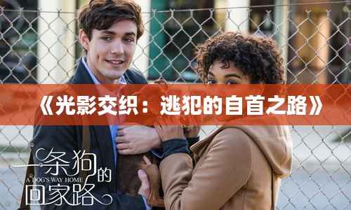 关于我们 第282页