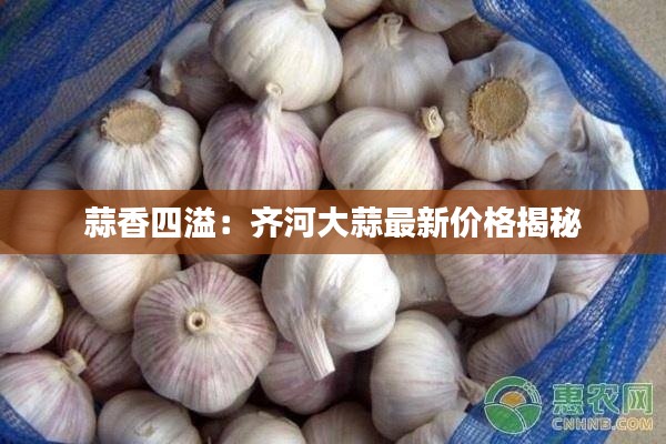 蒜香四溢:齐河大蒜最新价格揭秘