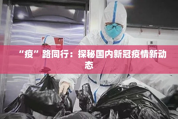 “疫”路同行：探秘国内新冠疫情新动态