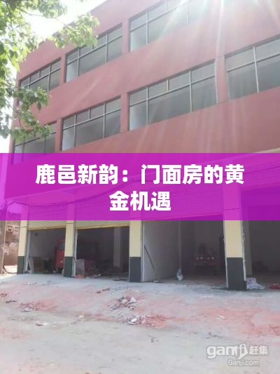 夜以继日 第5页