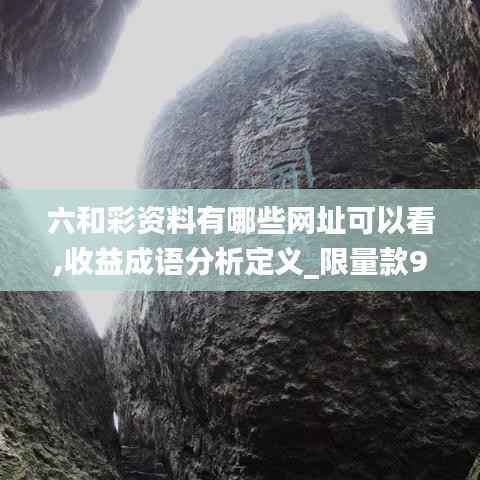 六和彩资料有哪些网址可以看,收益成语分析定义_限量款9.525