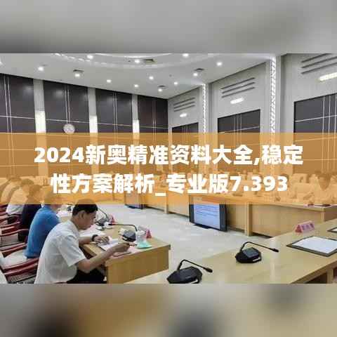 2024新奥精准资料大全,稳定性方案解析_专业版7.393