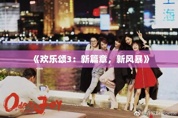 《欢乐颂3：新篇章，新风暴》