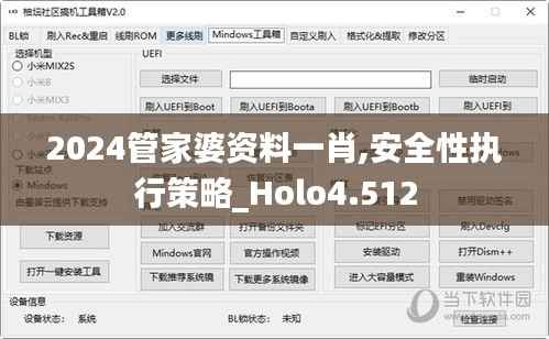 2024管家婆资料一肖,安全性执行策略_Holo4.512
