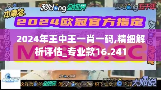 2024年王中王一肖一码,精细解析评估_专业款16.241