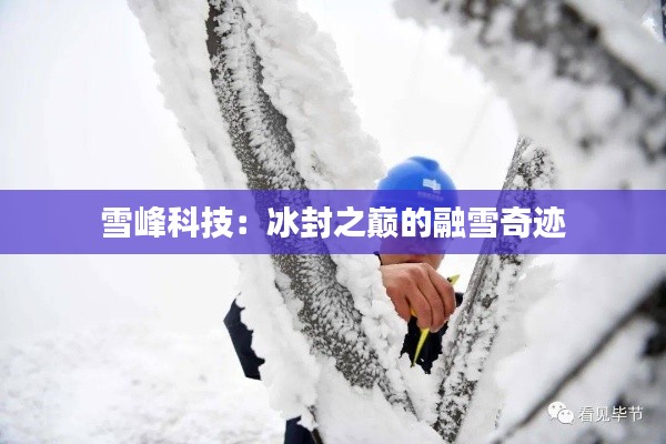 雪峰科技:冰封之巅的融雪奇迹