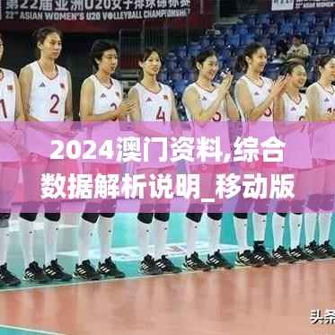 2024澳门资料,综合数据解析说明_移动版10.666