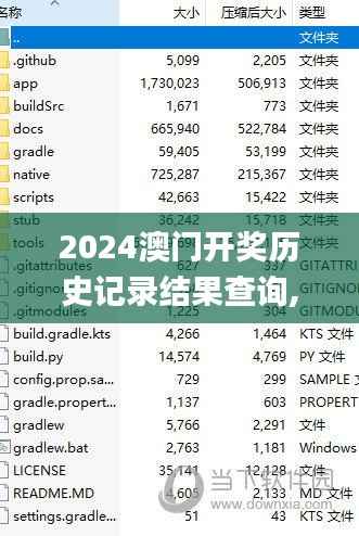 2024澳门开奖历史记录结果查询,全面数据策略解析_专业版1.260