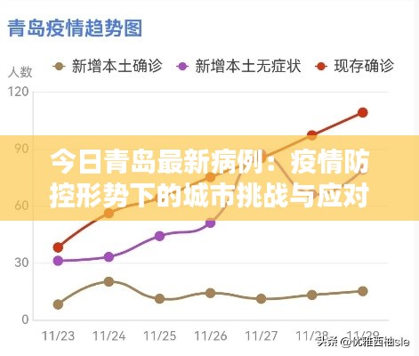 今日青岛最新病例：疫情防控形势下的城市挑战与应对