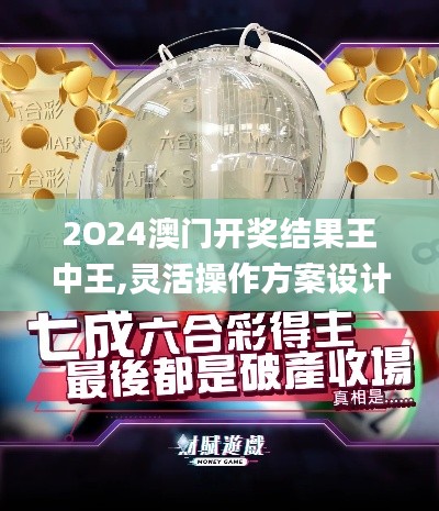 2O24澳门开奖结果王中王,灵活操作方案设计_5DM5.809