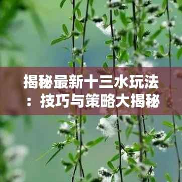 怀真抱素 第4页