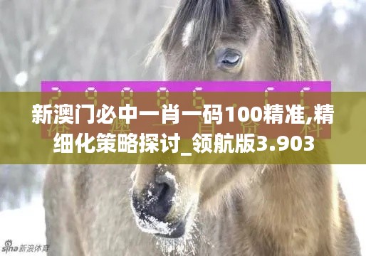 新澳门必中一肖一码100精准,精细化策略探讨_领航版3.903