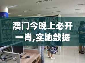 澳门今晚上必开一肖,实地数据评估策略_桌面款11.469