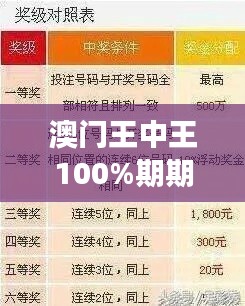澳门王中王100%期期中一期：梦寐以求的完美投注策略