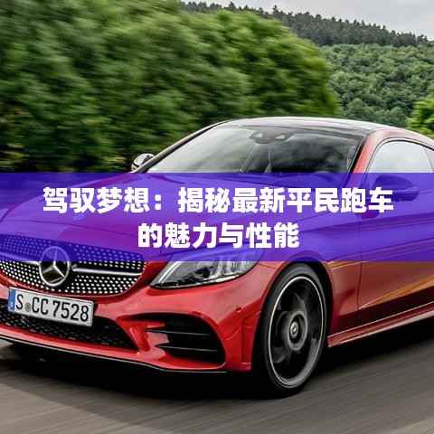 驾驭梦想：揭秘最新平民跑车的魅力与性能