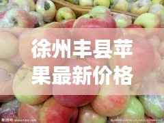 徐州丰县苹果最新价格:品质与市场的完美融合
