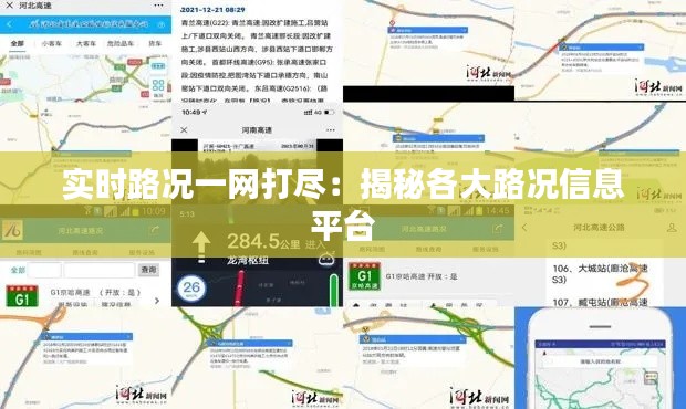 实时路况一网打尽：揭秘各大路况信息平台