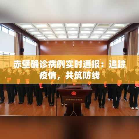 赤壁确诊病例实时通报:追踪疫情,共筑防线