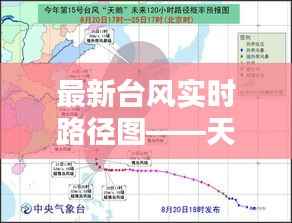 洵属可贵