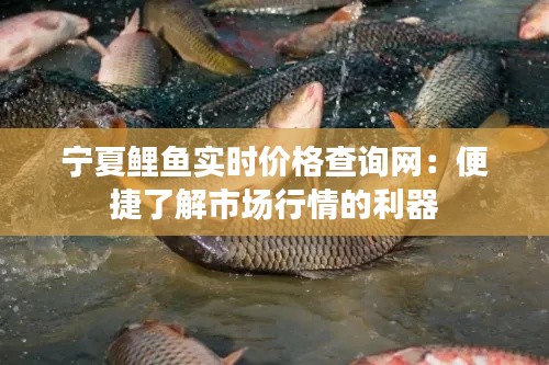 达官贵人 第3页