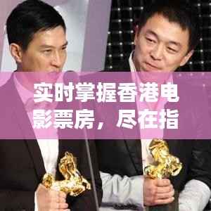 实时掌握香港电影票房，尽在指尖——香港电影票房实时查询系统解析