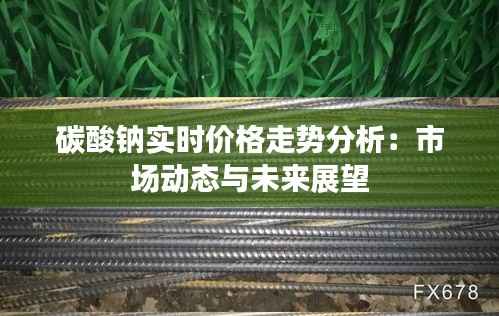 碳酸钠实时价格走势分析：市场动态与未来展望