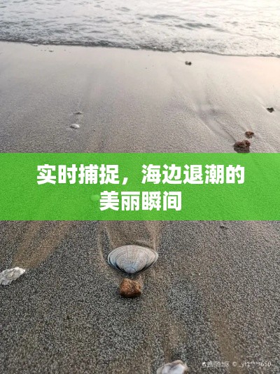 实时捕捉，海边退潮的美丽瞬间