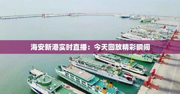 海安新港实时直播：今天回放精彩瞬间