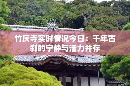 竹庆寺实时情况今日:千年古刹的宁静与活力并存