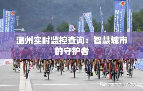 温州实时监控查询：智慧城市的守护者
