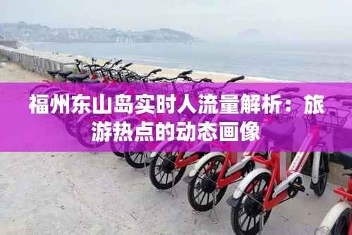 福州东山岛实时人流量解析:旅游热点的动态画像