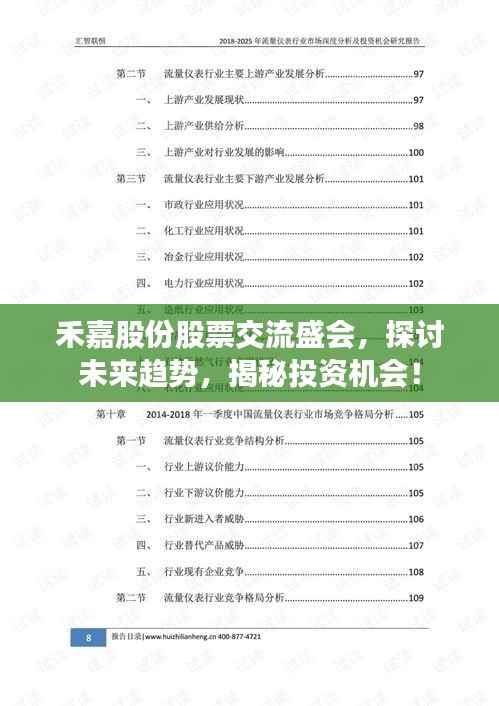 禾嘉股份股票交流盛会，探讨未来趋势，揭秘投资机会！
