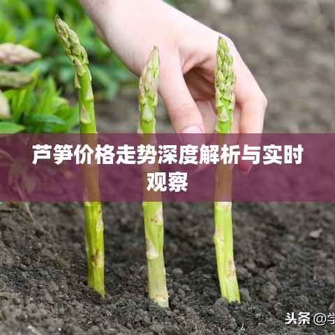 望其项背