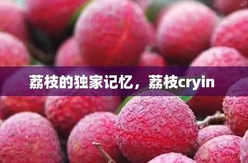 荔枝的独家记忆,荔枝cryin