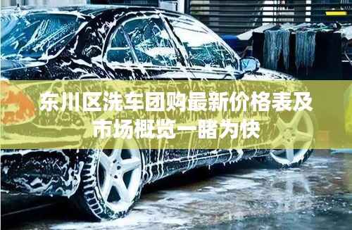 东川区洗车团购最新价格表及市场概览一睹为快