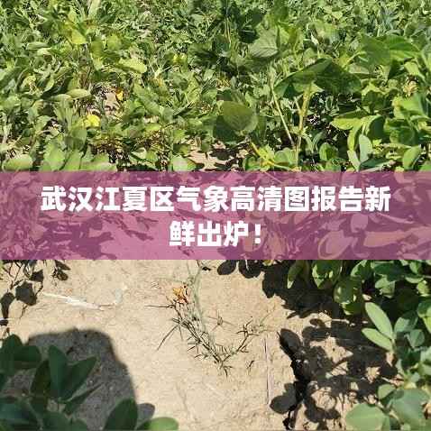 张弓拔弩 第3页