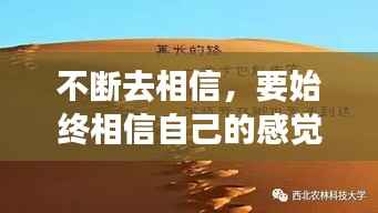 不断去相信，要始终相信自己的感觉 
