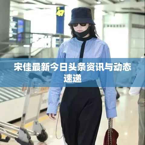 宋佳最新今日头条资讯与动态速递