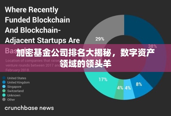 加密基金公司排名大揭秘，数字资产领域的领头羊