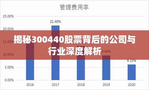 揭秘300440股票背后的公司与行业深度解析