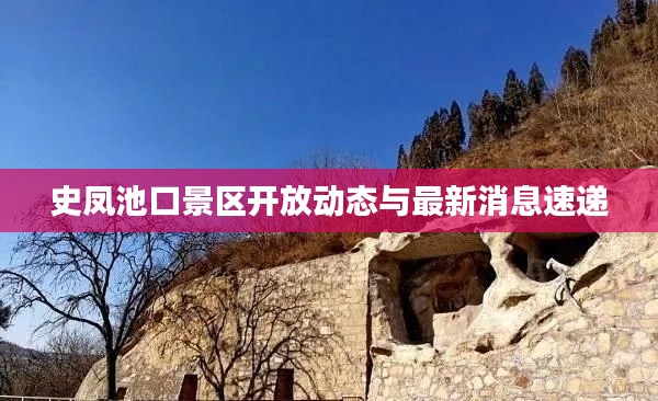 凤毛麟角