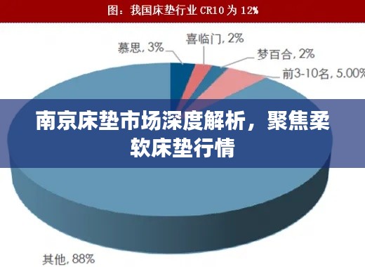 南京床垫市场深度解析，聚焦柔软床垫行情
