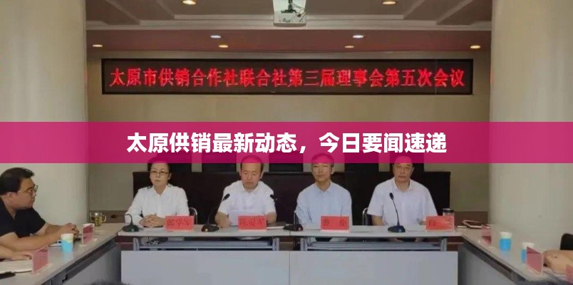 太原供销最新动态，今日要闻速递