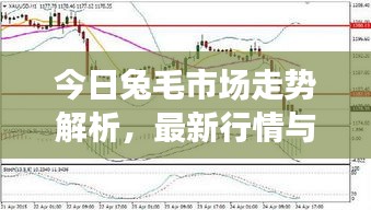 今日兔毛市场走势解析，最新行情与影响因素深度剖析
